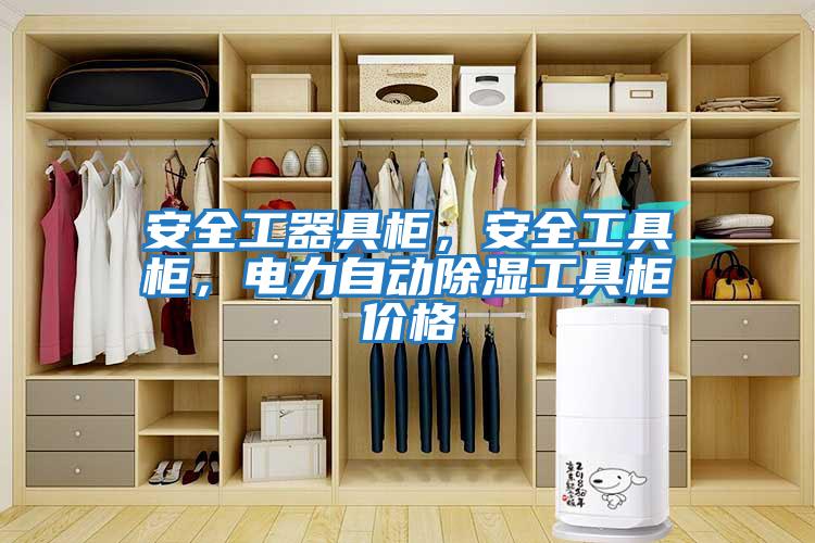 安全工器具柜，安全工具柜，電力自動除濕工具柜價格