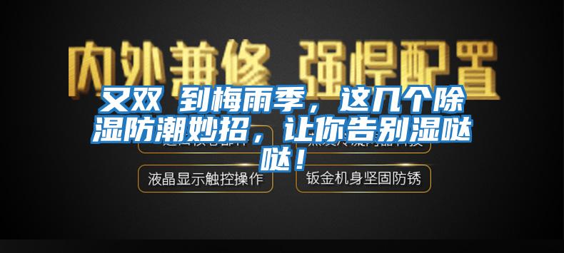 又雙叒到梅雨季，這幾個(gè)除濕防潮妙招，讓你告別濕噠噠！