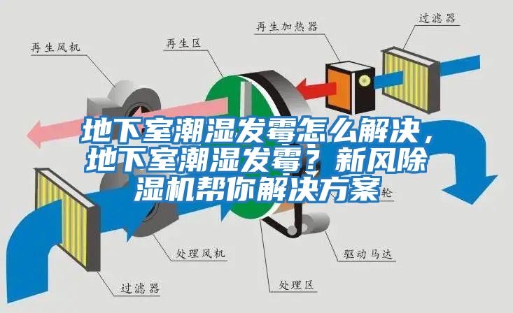 地下室潮濕發(fā)霉怎么解決，地下室潮濕發(fā)霉？新風(fēng)除濕機(jī)幫你解決方案