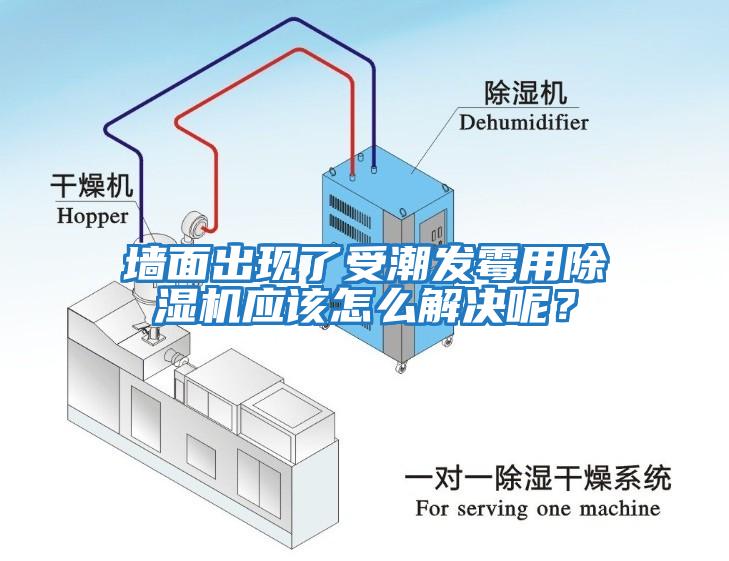 墻面出現(xiàn)了受潮發(fā)霉用除濕機(jī)應(yīng)該怎么解決呢？