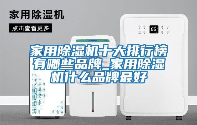 家用除濕機十大排行榜有哪些品牌_家用除濕機什么品牌最好