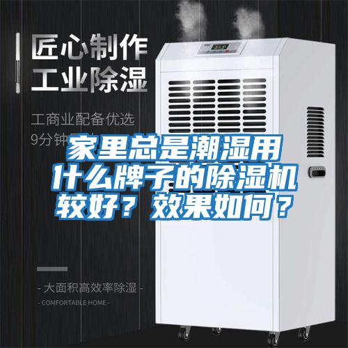 家里總是潮濕用什么牌子的除濕機(jī)較好？效果如何？