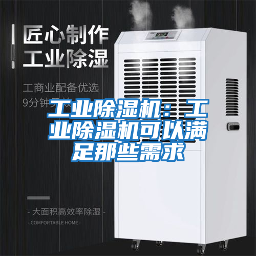 工業(yè)除濕機：工業(yè)除濕機可以滿足那些需求