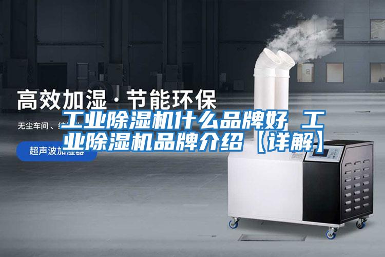 工業(yè)除濕機什么品牌好 工業(yè)除濕機品牌介紹【詳解】