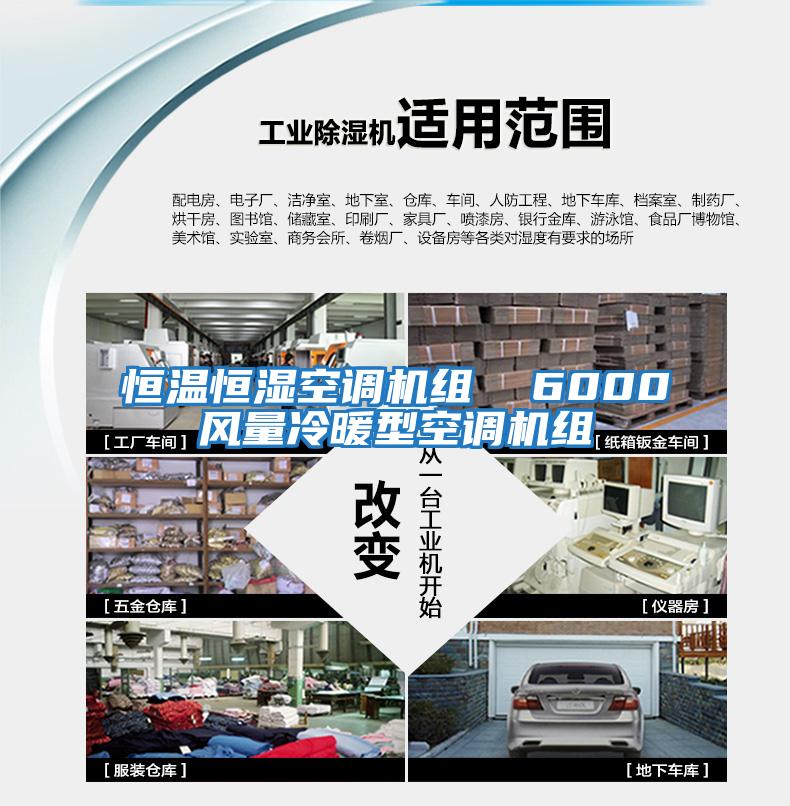 恒溫恒濕空調(diào)機組  6000風(fēng)量冷暖型空調(diào)機組