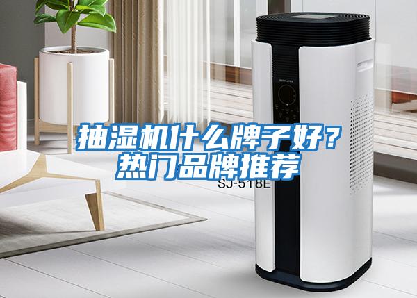 抽濕機什么牌子好？熱門品牌推薦