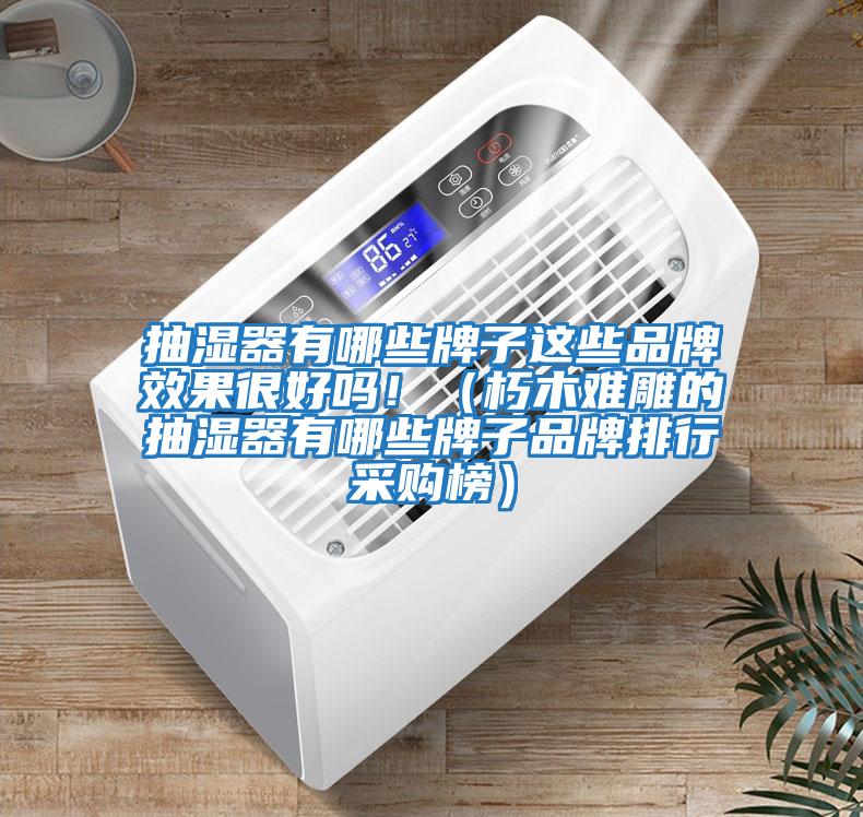 抽濕器有哪些牌子這些品牌效果很好嗎?。ㄐ嗄倦y雕的抽濕器有哪些牌子品牌排行采購榜）