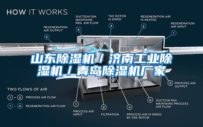 山東除濕機(jī)／濟(jì)南工業(yè)除濕機(jī)／青島除濕機(jī)廠家