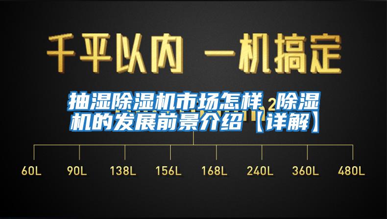 抽濕除濕機(jī)市場(chǎng)怎樣 除濕機(jī)的發(fā)展前景介紹【詳解】