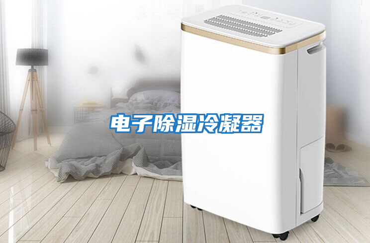 電子除濕冷凝器