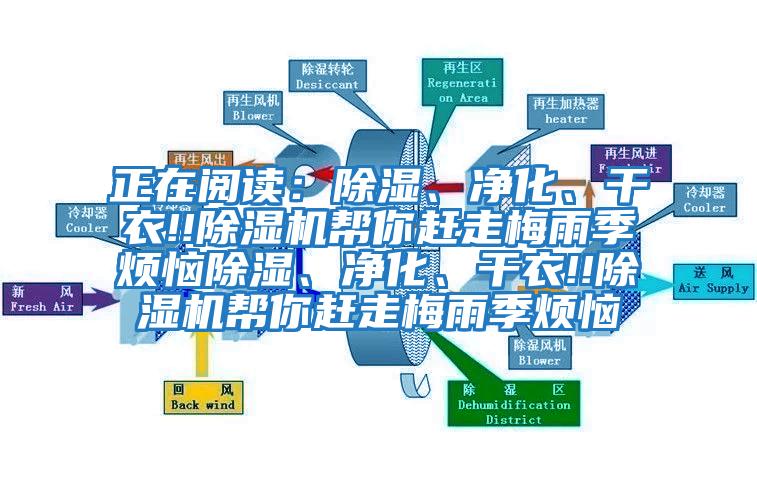 正在閱讀：除濕、凈化、干衣!!除濕機幫你趕走梅雨季煩惱除濕、凈化、干衣!!除濕機幫你趕走梅雨季煩惱