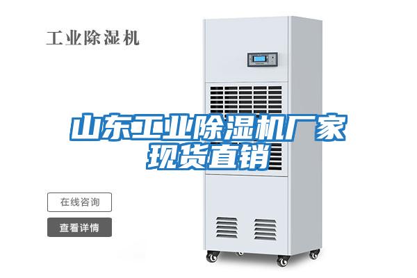 山東工業(yè)除濕機廠家現貨直銷