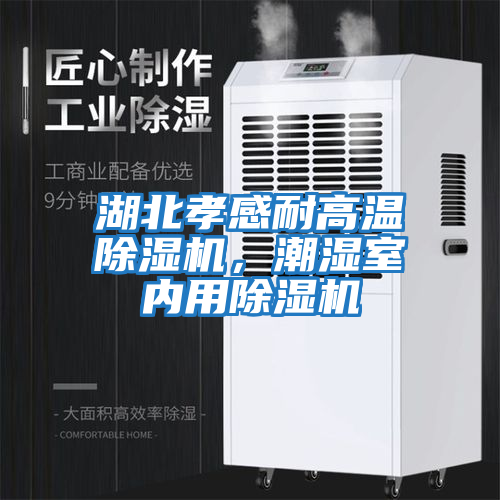 湖北孝感耐高溫除濕機，潮濕室內(nèi)用除濕機