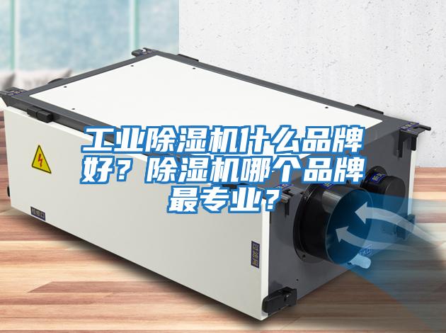 工業(yè)除濕機什么品牌好？除濕機哪個品牌最專業(yè)？