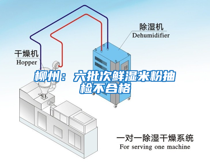 柳州：六批次鮮濕米粉抽檢不合格