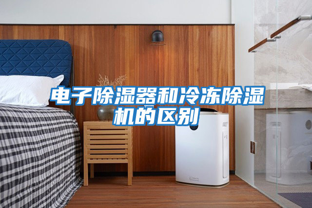 電子除濕器和冷凍除濕機(jī)的區(qū)別