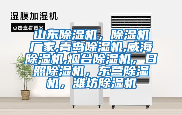 山東除濕機，除濕機廠家,青島除濕機,威海除濕機,煙臺除濕機，日照除濕機，東營除濕機，濰坊除濕機