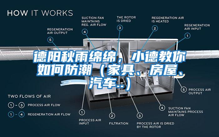 德陽秋雨綿綿，小德教你如何防潮（家具、房屋、汽車..）