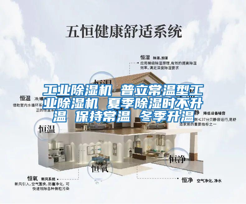 工業(yè)除濕機 普立常溫型工業(yè)除濕機 夏季除濕時不升溫 保持常溫 冬季升溫