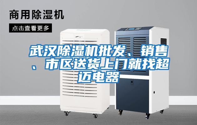 武漢除濕機批發(fā)、銷售、市區(qū)送貨上門就找超邁電器