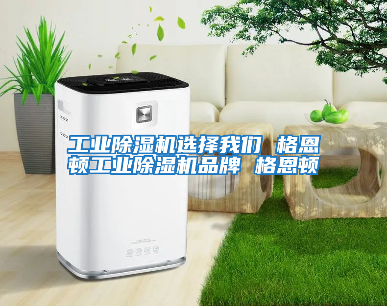 工業(yè)除濕機選擇我們 格恩頓工業(yè)除濕機品牌 格恩頓