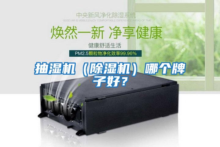 抽濕機（除濕機）哪個牌子好？