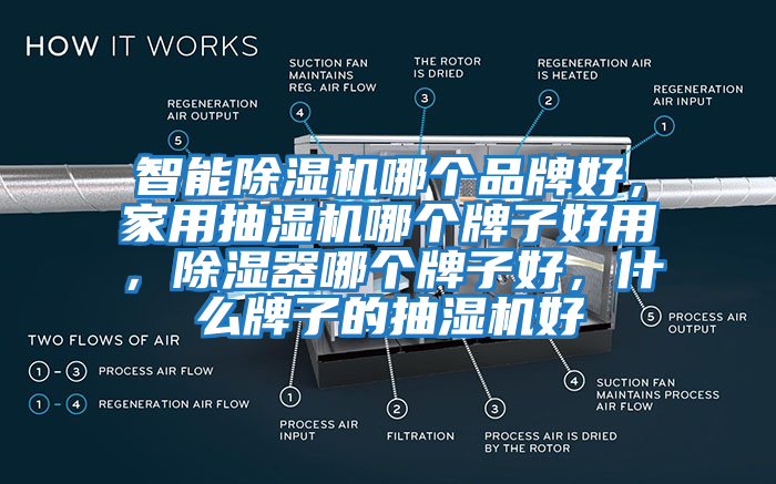 智能除濕機(jī)哪個品牌好，家用抽濕機(jī)哪個牌子好用，除濕器哪個牌子好，什么牌子的抽濕機(jī)好