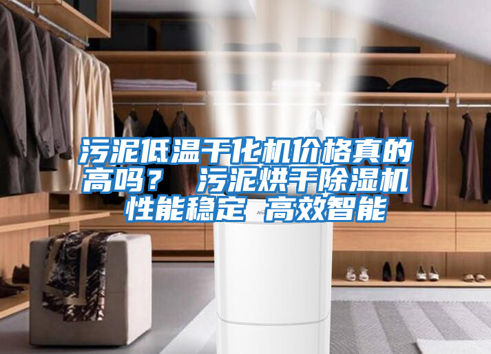 污泥低溫干化機價格真的高嗎？ 污泥烘干除濕機 性能穩(wěn)定 高效智能