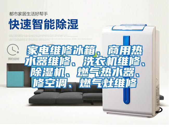 家電維修冰箱、商用熱水器維修、洗衣機維修、除濕機、燃氣熱水器、修空調(diào)、燃氣灶維修