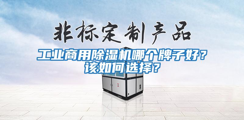 工業(yè)商用除濕機哪個牌子好？該如何選擇？