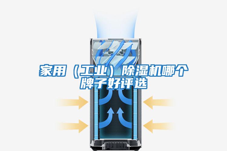 家用（工業(yè)）除濕機哪個牌子好評選