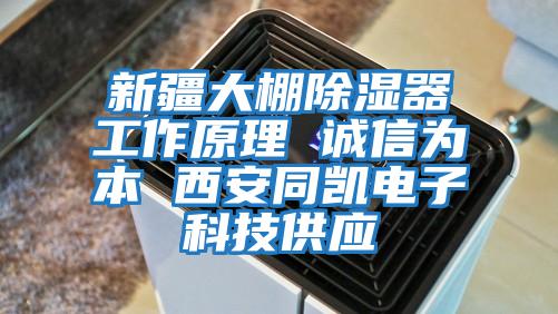 新疆大棚除濕器工作原理 誠(chéng)信為本 西安同凱電子科技供應(yīng)