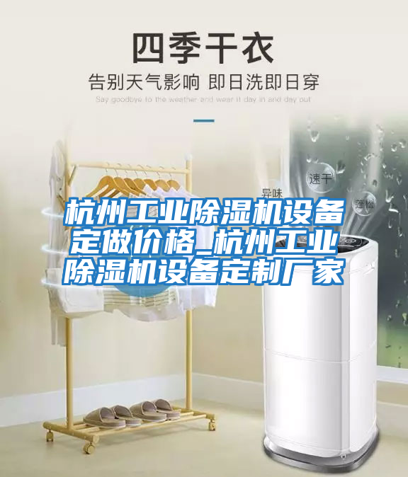 杭州工業(yè)除濕機設(shè)備定做價格_杭州工業(yè)除濕機設(shè)備定制廠家