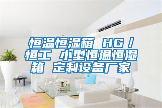 恒溫恒濕箱 HG／恒工 小型恒溫恒濕箱 定制設備廠家