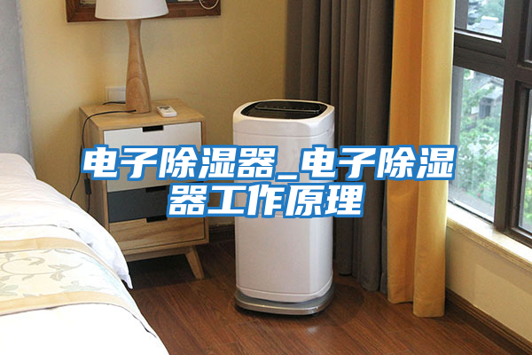 電子除濕器_電子除濕器工作原理