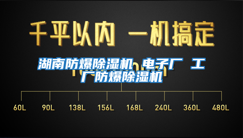 湖南防爆除濕機(jī) 電子廠 工廠防爆除濕機(jī)