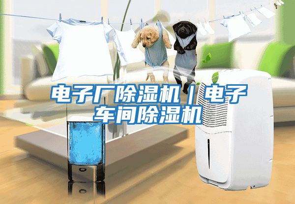 電子廠除濕機｜電子車間除濕機