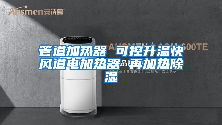 管道加熱器 可控升溫快風(fēng)道電加熱器 再加熱除濕