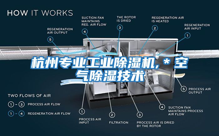 杭州專業(yè)工業(yè)除濕機,＊空氣除濕技術