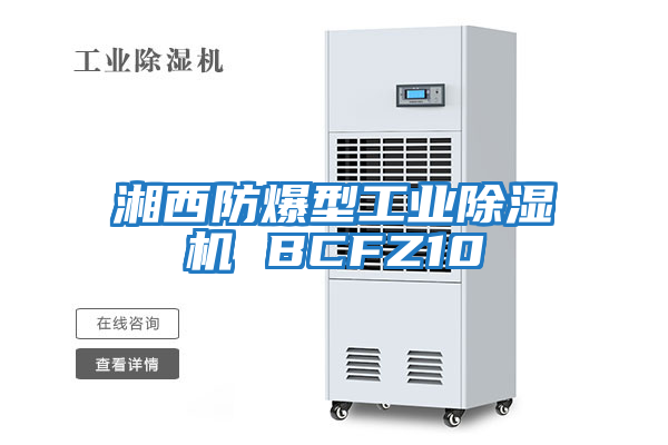 湘西防爆型工業(yè)除濕機 BCFZ10