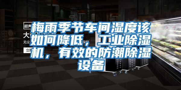 梅雨季節(jié)車間濕度該如何降低，工業(yè)除濕機(jī)，有效的防潮除濕設(shè)備