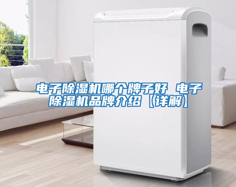 電子除濕機哪個牌子好 電子除濕機品牌介紹【詳解】