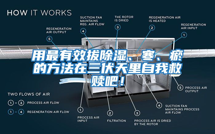 用最有效拔除濕、寒、瘀的方法在三伏天里自我救贖吧！