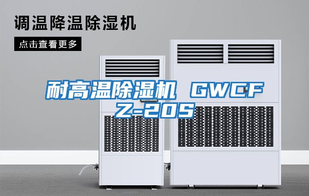 耐高溫除濕機(jī) GWCFZ-20S