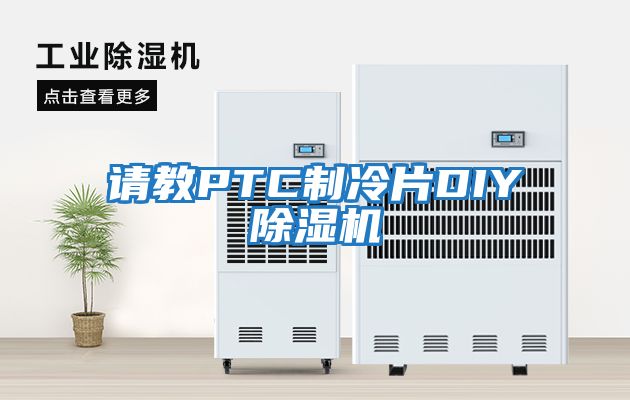 請教PTC制冷片DIY除濕機