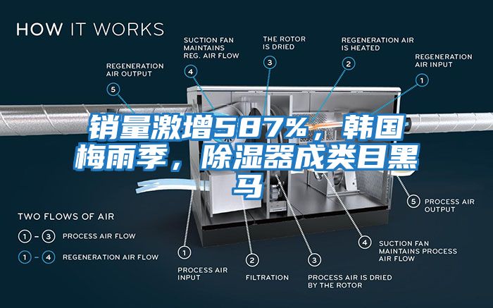 銷量激增587%，韓國梅雨季，除濕器成類目黑馬