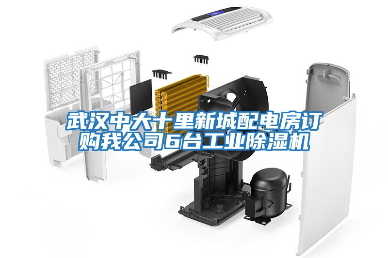 武漢中大十里新城配電房訂購我公司6臺工業(yè)除濕機(jī)