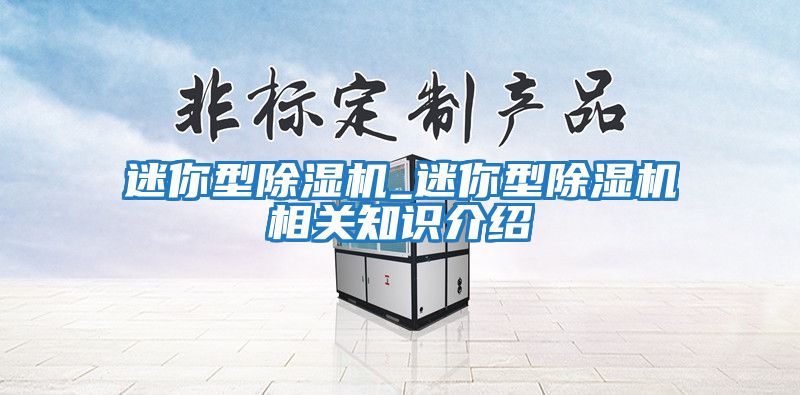 迷你型除濕機(jī)_迷你型除濕機(jī)相關(guān)知識(shí)介紹