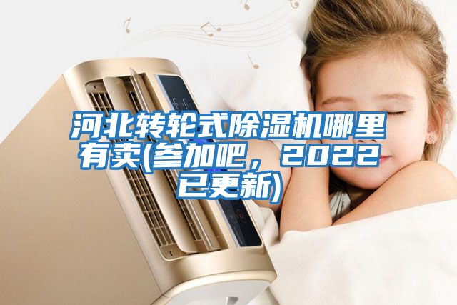 河北轉(zhuǎn)輪式除濕機哪里有賣(參加吧，2022已更新)