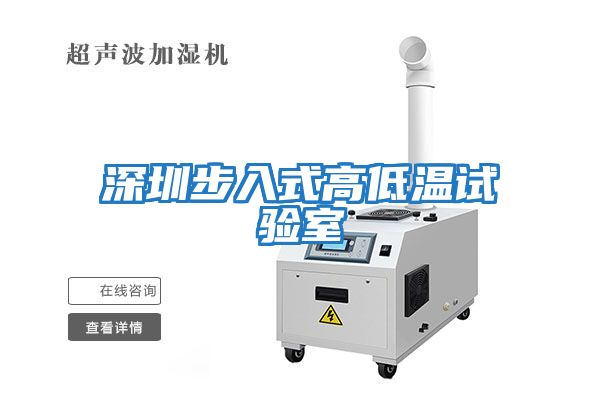 深圳步入式高低溫試驗室